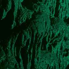 CH'AHOM - Excavation Re-Release DIGI